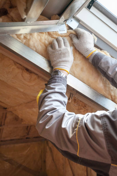 Best Commercial Insulation Services  in Salem, UT