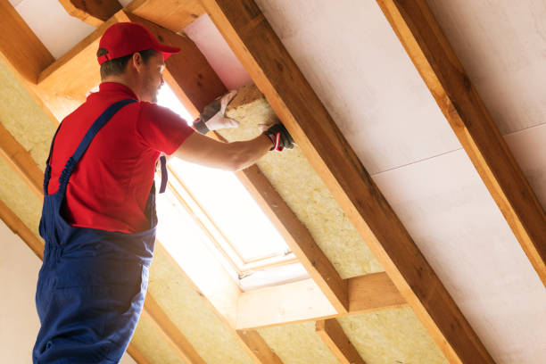 Best Attic Insulation Installation  in Salem, UT